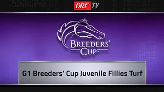 Breeders' Cup Juvenile Fillies Turf 2018 Preview