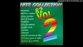 Don't Stop - Sylvester. (Bonus Track 15) HITS COLLECTION '82 Vol. 2