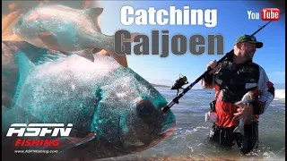 How to catch Galjoen!!! @ASFN Fishing