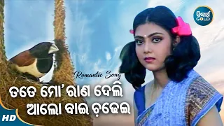 Tate Mo Raana Deli Alo Bai Chadhei - Romantic Album Song | Nibedita | ତତେ ମୋ ରାଣ | Sidharth Music