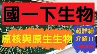 國一下生物 3-3 原核與原生生物 | 細菌藍綠菌 | 藻類原生動物原生菌類 | 詳細解析 | 108課綱