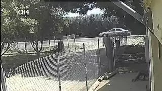 Burglary Surveillance Video