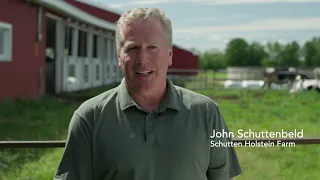 Schuttens Holsteins - a family dairy farm