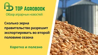 Сколько зерна правительство разрешит экспортировать во второй половине сезона. TOP Agrobook