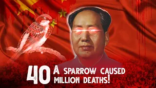 The Most Terrible Mistake in History | How a Sparrow Caused 40 Million Deaths in China