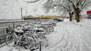 Heavy Snowfall and Blizzard in Helsinki Finland