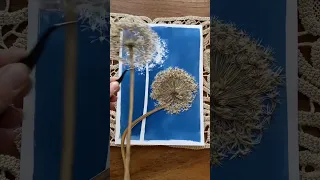 How to press thick flowers