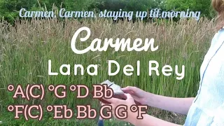 Carmen | Lana Del Rey - Kalimba cover with TABs and lyrics