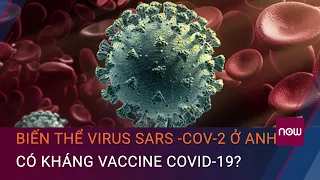 Biến thể virus SARS -CoV-2 ở Anh có kháng vaccine Covid-19? | VTC Now