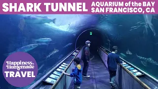 Shark Tunnel - Aquarium of the Bay, San Francisco, California