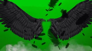 green screen best wings
