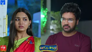 Rangula Ratnam Latest Promo - 29th April 2024 in ETV Telugu at 7:30 PM - Mallemalatv