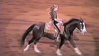 1999 National Western Stock Show Freestyle Reining - Sharee Schwartzenberger