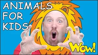 Animals for Kids and Mr. Sun NEW Story from Steve and Maggie for Children | Wow English TV