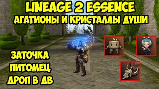 Агатионы и кристаллы души для бездонатной машины в Lineage 2 Essence.