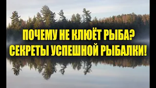 ПОЧЕМУ НЕ КЛЮЁТ РЫБА? СЕКРЕТЫ УСПЕШНОЙ РЫБАЛКИ!