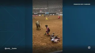 Father shields his son after being bucked off bull at rodeo