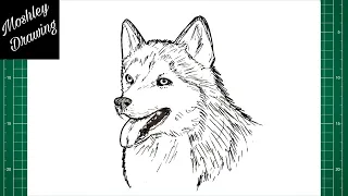 How to Draw a Husky Dog Face
