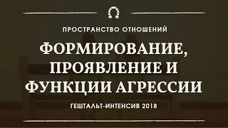 Формирование, проявление и функции агрессии | Гештальт-интенсив "Пространство отношений" 2018