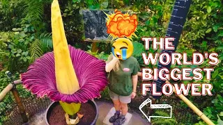Top 10 Strangest And Mind Blowing Nature You've never seen Before 😮 | Fact It