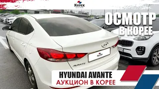 Прошлись по площадке в Корее.Аукцион в Корее.Осмотр Hyundai Avante Ad для клиента