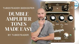 Tubesteader Beekeeper - Based on the Dumble Amplifier Preamp Section!
