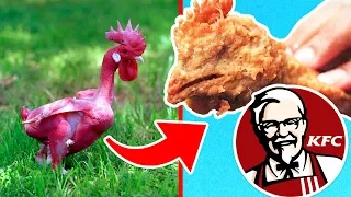 Top 10 Disturbing Secrets KFC Doesn’t Want You To Know