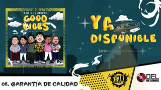 Garantía de Calidad - T3R Elemento  - " Good Vibes" (Buenas Vibras) - DEL Records 2019