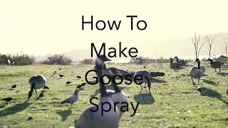 How To Make Goose Spray