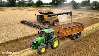 4Kᵁᴴᴰ Harvest 2023: New Holland CR9.90 combine racing to beat the rain. Baler in on the action too!