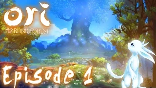 Épisode 1 - Le périple commence [Série] Ori and the Blind Forest