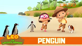 What Colour Are The Penguin's Eyes?|Leo the Wildlife Ranger|Mini-Ep|Kids Cartoon|@Mediacorp okto