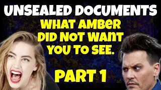 Depp v Heard Unsealed Documents | Part 1 | Amber vs Johnny's Criminal History