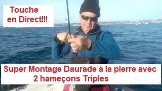 TUTO et Vidéo Pêche et Montage Daurade à la Pierre