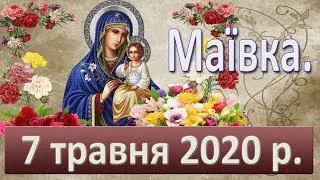 Маївка. 7 травня 2020 р.