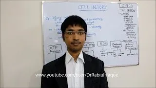 Cell Injury ( Part 1 ) : Definition, Causes, Hypoxia, Different Mechanisms of Cell Injury (HD)