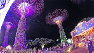 Рождественское Шоу Gardens by the Bay 2015