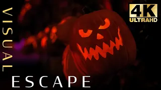 "This is Halloween" Nightmare Before Christmas 1hr loop |🎃 Jack O'Lantern's from Evermore Park 👻