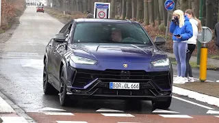 Lamborghini Urus Performante - Accelerations, SOUNDS & Walkaround!