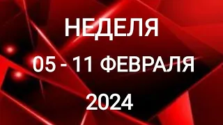 КОЗЕРОГ ♑. ДЕНЬГИ И ПОИСК НОВОГО. НЕДЕЛЯ 5-11 ФЕВРАЛЯ 2024. Таро прогноз.