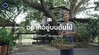 Homemade : บ้านตามใจ | EP. 08 | อยากอยู่บนต้นไม้ : บ้านต้นไม้ริมน้ำของสถาปนิกผู้รักธรรมชาติ