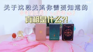 塔罗占卜｜关于这段关系你需要知道的真相是什么？｜这段关系的意义？｜TA的下一步计划？｜未来的发展 #爱情 #发展 #真相