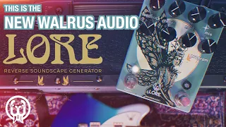 Walrus Audio Lore Reverse Delay/Reverb | In-Depth Film