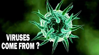 Where Did Viruses Originally Come From ? Universe Shiner