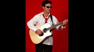 You got it Shakin Roy Elvison #royorbison #music #musicvideo #viral #viralvideo