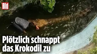 Mann macht ein Selfie mit einem Krokodil und verliert fast seinen Arm