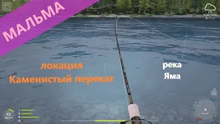 Русская рыбалка 4 - река Яма - Мальма на топвотеры