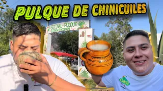 Así se Vivió la Feria del Pulque en Tunititlan HGO || ¡Sabores Únicos!