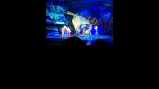 Disney's Animal Kingdom Finding Nemo the Musical