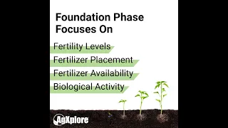 AgXplore's Foundation Phase | The First Phase of Crop Development